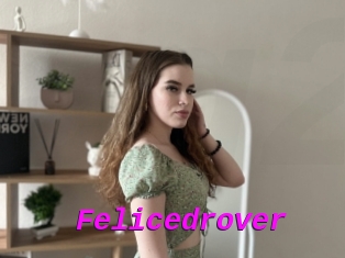 Felicedrover