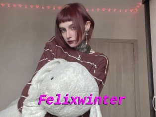 Felixwinter