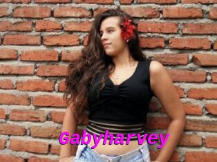 Gabyharvey