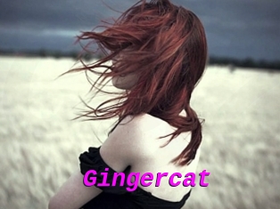 Gingercat