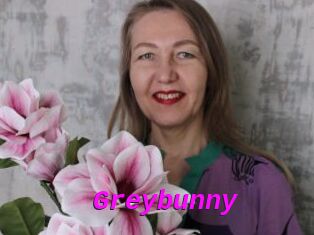 Greybunny
