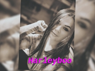Harleyboo