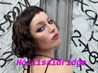 Hollisaldridge