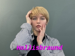 Hollisbraund