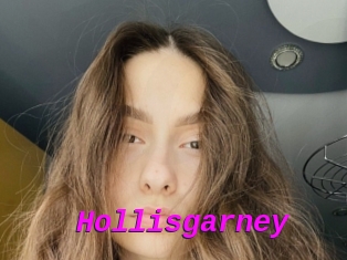 Hollisgarney
