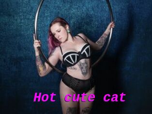 Hot_cute_cat