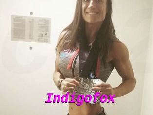 Indigofox