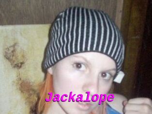 Jackalope
