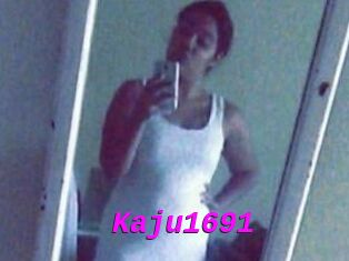Kaju1691