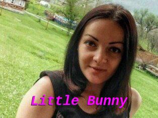 Little_Bunny_
