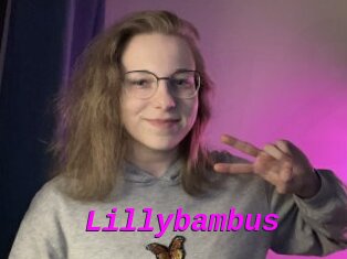 Lillybambus