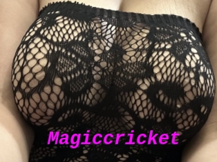 Magiccricket