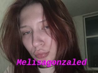 Melisagonzaled