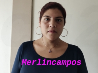 Merlincampos