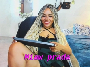 Miaw_prada