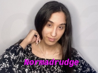 Normadrudge