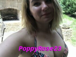 PoppyRose23