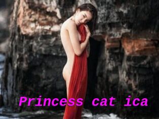 Princess_cat_ica