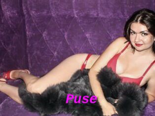 Puse
