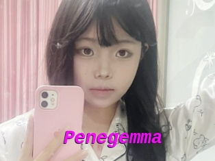 Penegemma