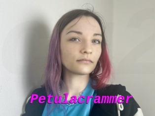 Petulacrammer