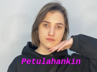 Petulahankin
