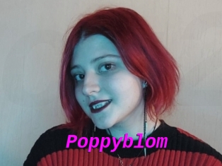 Poppyblom