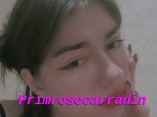 Primrosecarradin