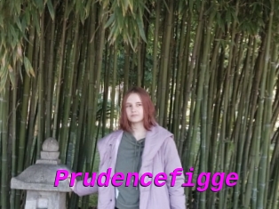Prudencefigge