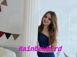 RainbowBird