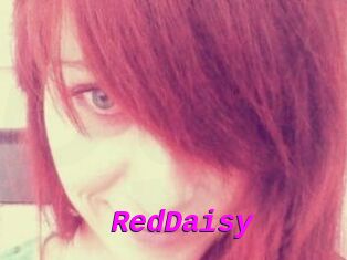 RedDaisy
