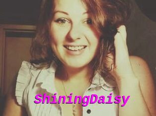 ShiningDaisy