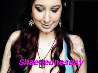 Shaewednesday