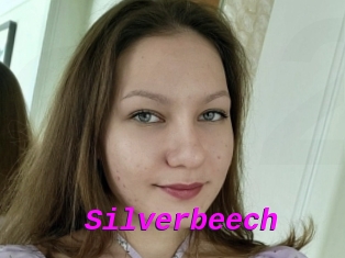 Silverbeech