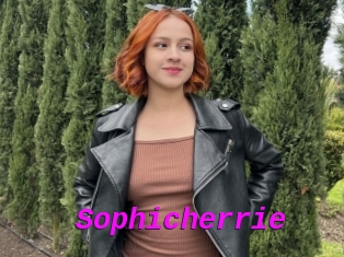 Sophicherrie