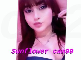 Sunflower_cam99