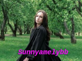 Sunnyamelybb