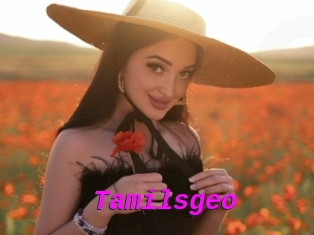 Tamilsgeo