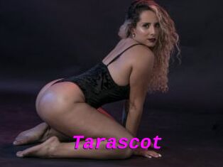 Tarascot