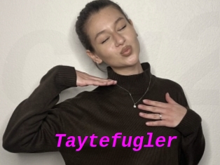 Taytefugler