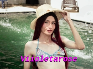 Viioletarose