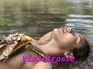 Violetrosse
