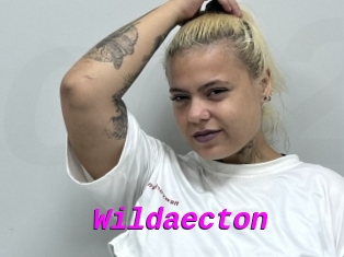 Wildaecton