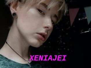 XENIA_JEI