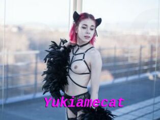 Yukiamecat