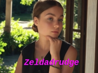 Zeldadrudge